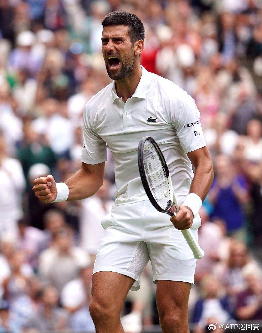 在大满贯赛 在大满贯赛