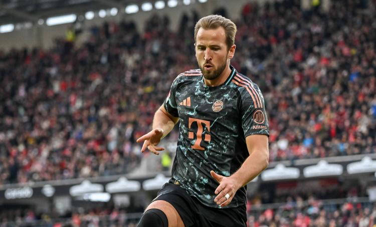 在恩里克的 在恩里克的